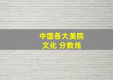 中国各大美院 文化 分数线